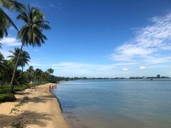 Jalan Loyang Besar (D17), Condominium #501861701